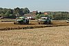 DSC_7185.jpg