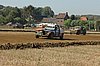 DSC_7196.jpg