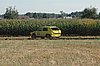 DSC_7197.jpg