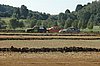 DSC_7201.jpg