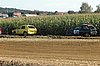 DSC_7220.jpg