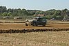 DSC_7232.jpg