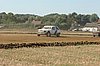 DSC_7234.jpg