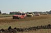 DSC_7287.jpg