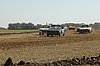 DSC_7291.jpg