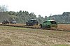 DSC_7295.jpg