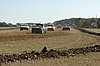 DSC_7308.jpg