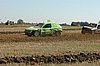 DSC_7314.jpg