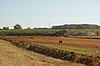 DSC_9774.jpg