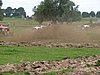 DSC06114.JPG