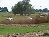 DSC06115.JPG
