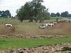 DSC06117.JPG