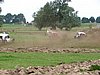 DSC06119.JPG