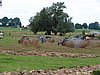 DSC06124.JPG