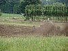 DSC06410.JPG