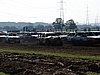 DSC00724.JPG