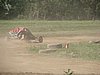 DSC05245.JPG