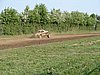 DSC05337.JPG