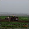 DSC00439.JPG