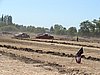 DSC02115.JPG