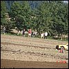 DSC00138.JPG
