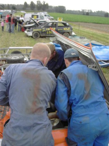 zoutleeuw2.jpg