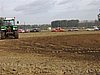 zoutleeuw 15.jpg