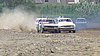 zoutleeuw0408.jpg